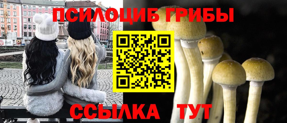 Галлюциногенные грибы Psilocybe Гуково