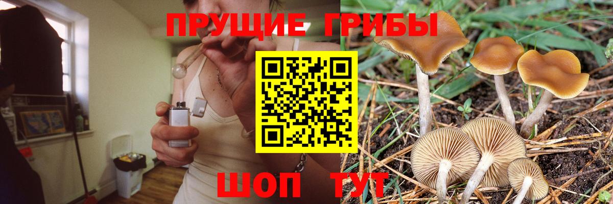 Гуково  Псилоцибиновые грибы Cubensis  Галлюциногенные грибы Psilocybine cubensis  Вход с VPN 